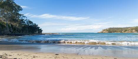Playa en los alrededores