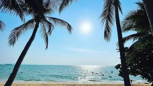 A beach with palm trees and a clear sky. - Constancy Jomtien Pattaya Hotel (Sattahip)