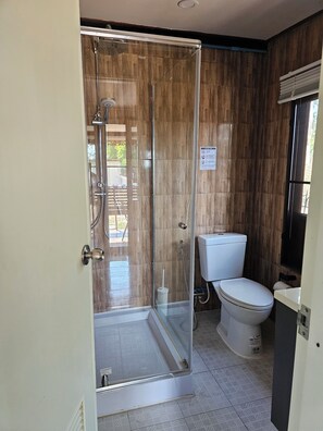 Shower, rainfall showerhead, hair dryer, towels