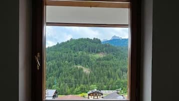 A window with a view of a forested mountain landscape.