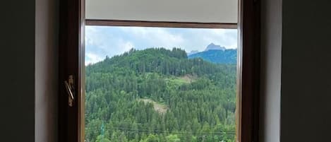 A window with a view of a forested mountain landscape.