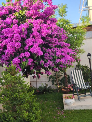 Domus Parva - Holiday House With Garden Pompeii