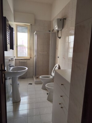 Hair dryer, bidet, towels, soap