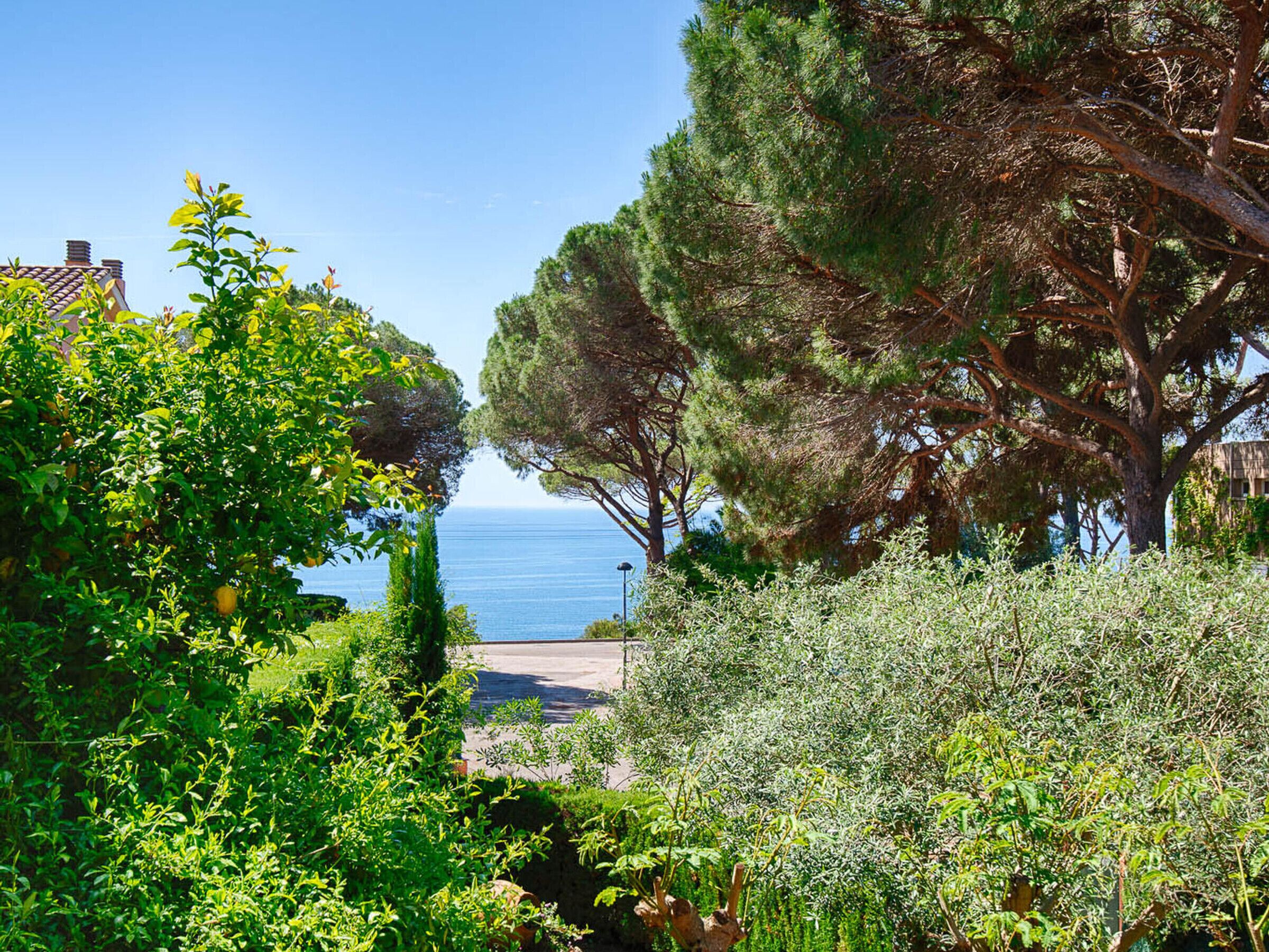 A coastal garden with dense foliage, a pathway leading to the sea, and a clear view of the ocean.