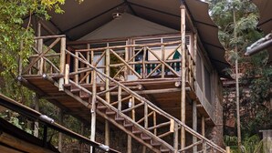 A wooden staircase leading to a covered upper level with a view of the surrounding trees. - Nokras Enkare Luxury Tented Camp Sagana (Sagana)