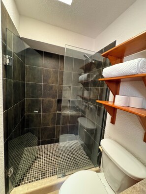 Shower, hair dryer, towels