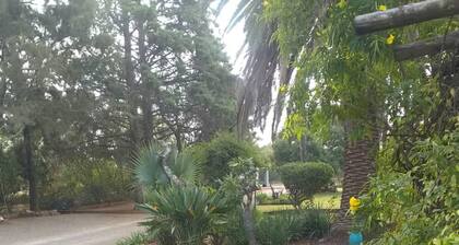 Beautiful ,No Fuss, Serene 3 Bed House in Bulawayo