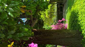 Villa | 5 soveværelser