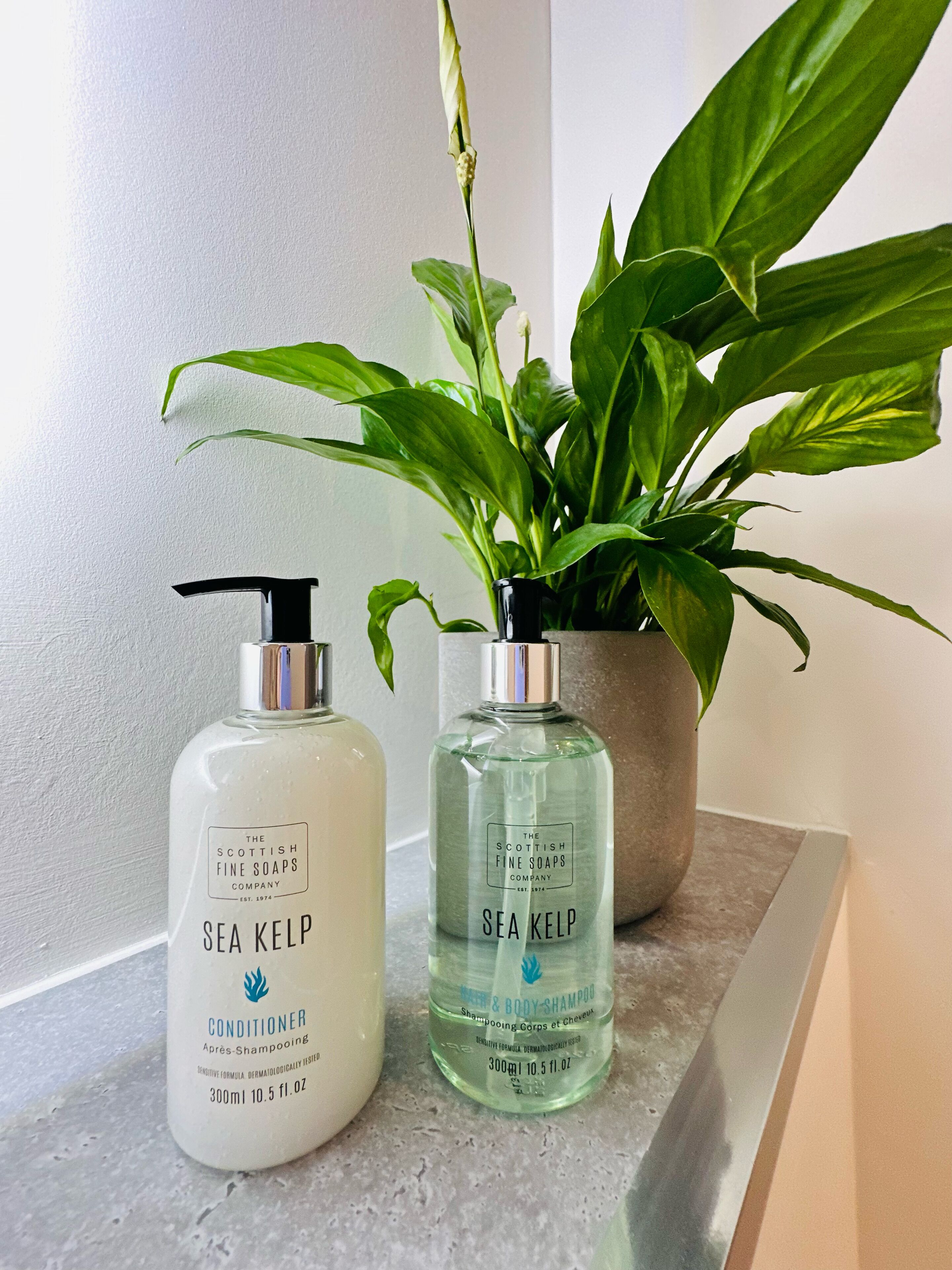 Deux flacons d’après-shampoing et de shampoing à base d’algues marines, et une plante en pot sur le comptoir de la salle de bain.