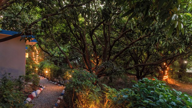 A pathway lined with colorful lanterns, surrounded by lush greenery and trees.