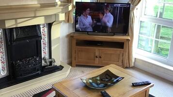 木屋 | 起居区 | 电视