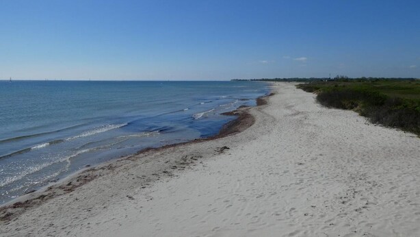 Ein Strand mit sandigem Ufer und ruhigem Wasser.