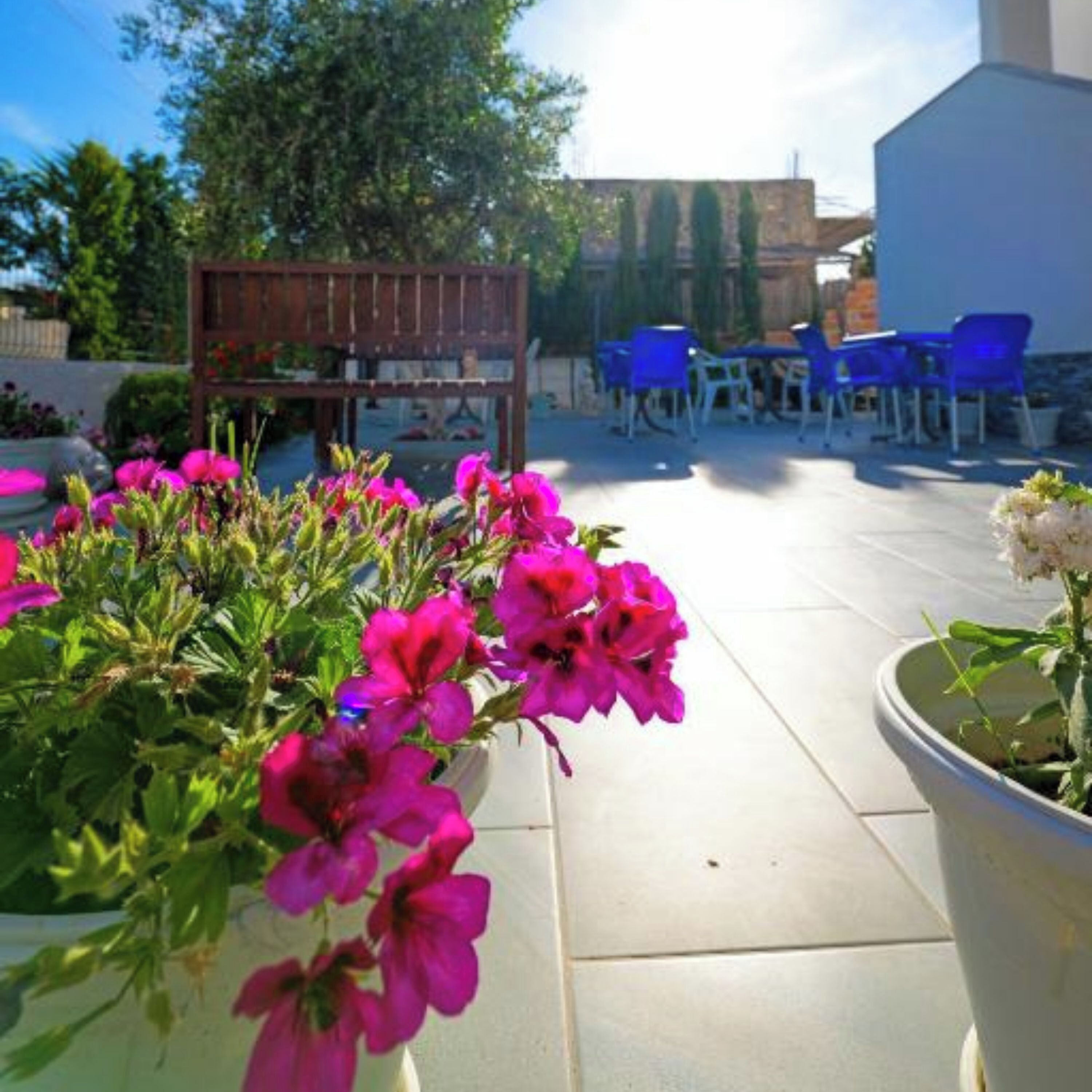 Deluxe Double Room | Terrace/patio