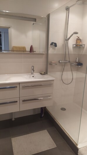 Shower, hair dryer, towels, toilet paper