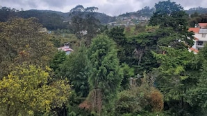 A mountainous landscape with dense forest and scattered buildings. - A.V.N Homestay (Kodaikanal)
