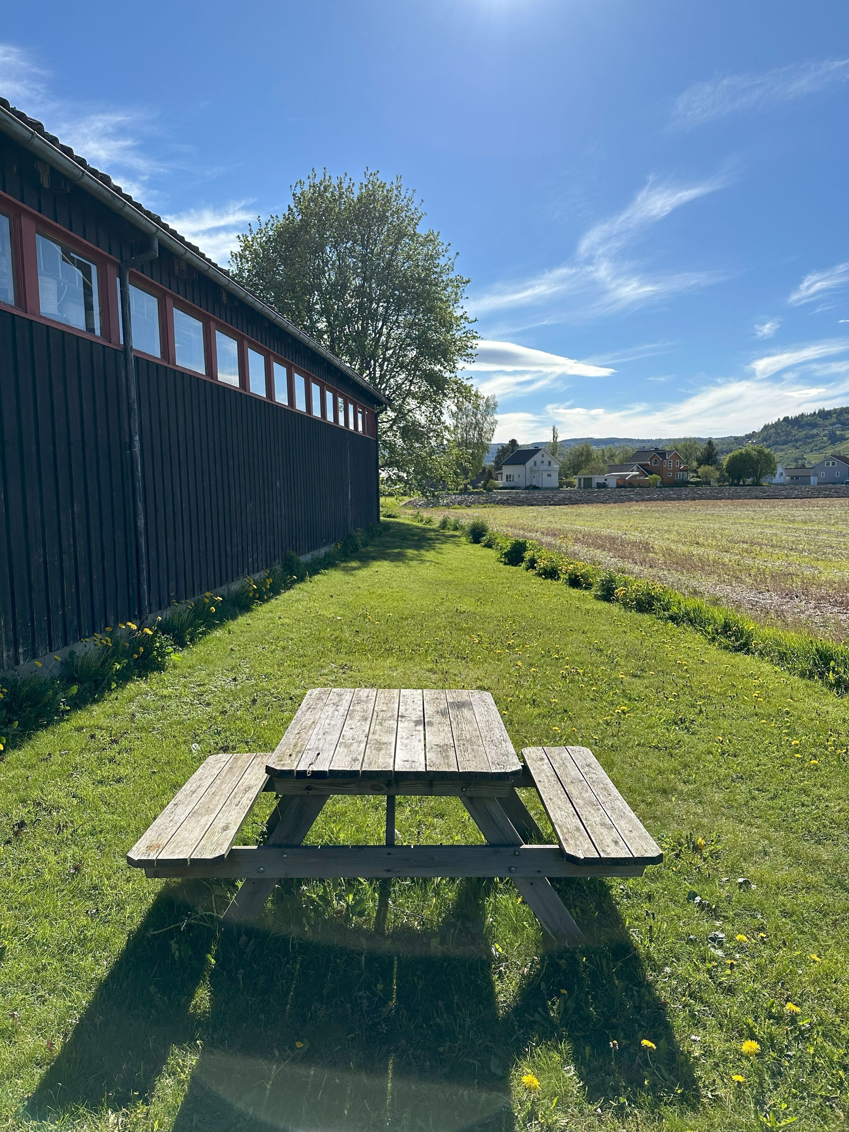 Een picknicktafel in een gazon met een houten hek en huizen op de achtergrond.