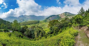 Exterior - Eterno Capithans Dale (Devikolam)