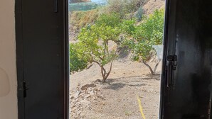 Uma porta com janela mostrando uma árvore e terreno rochoso.