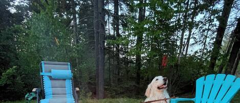 المنطقة المحيطة بالمنشأة