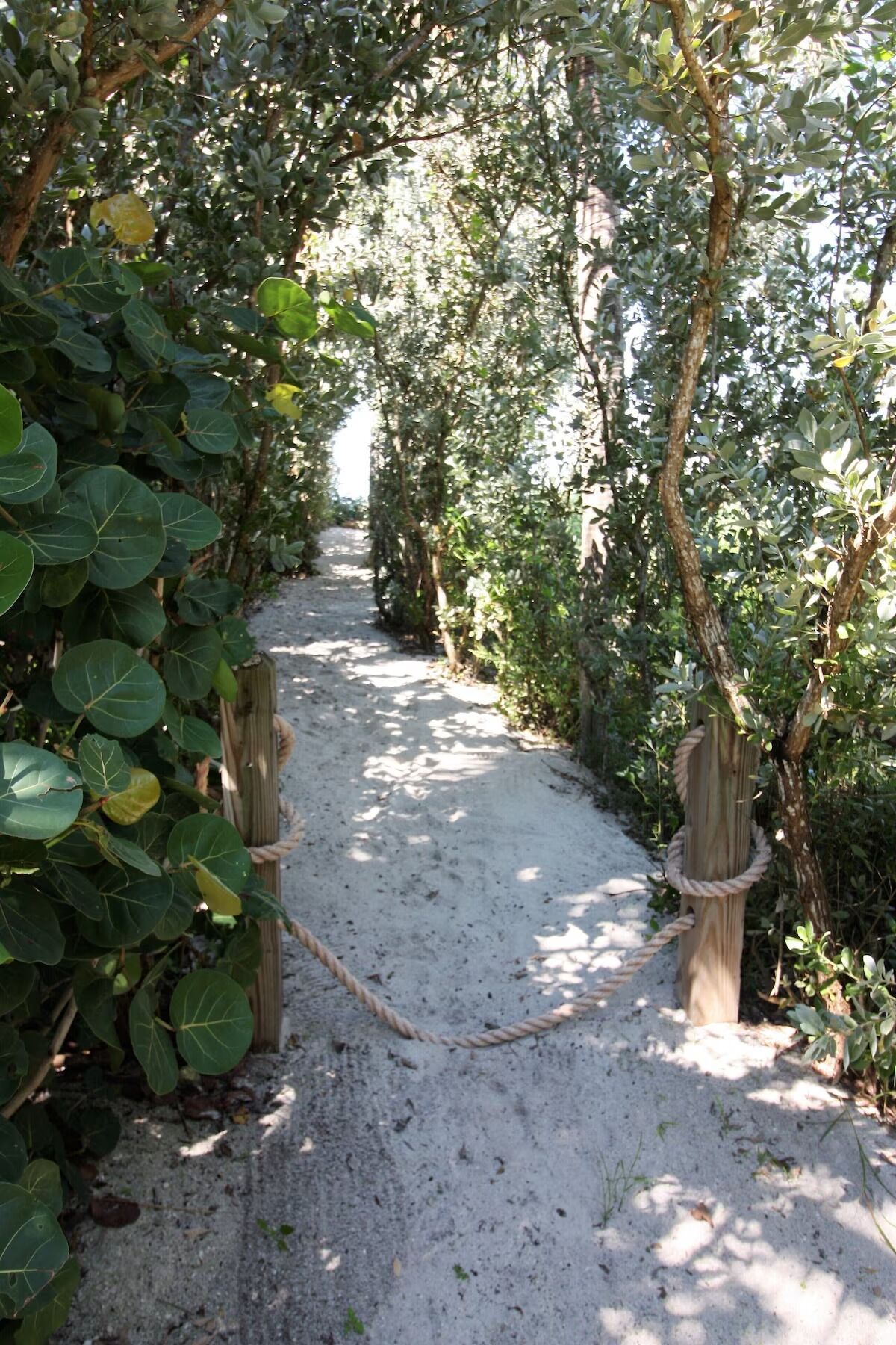 Un sentier bordé d’arbres et de cordes, qui traverse un jardin ou un espace vert.