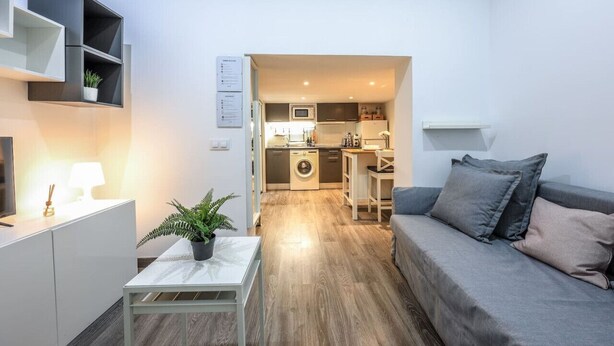 A compact living space with a sofa, a small table with a plant, a TV, and a kitchen area with a washing machine. - Cozy & Discreet apartment in Madrid (Madrid)