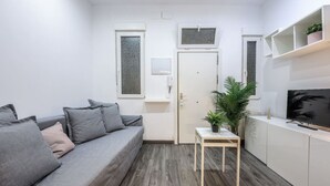 A compact living space with a grey sofa, a small table with a plant, a TV on a cabinet, and a white door with frosted glass windows. - Cozy & Discreet apartment in Madrid (Madrid)