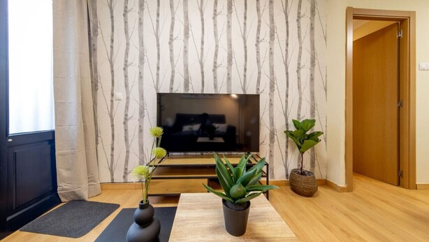 A living room with a TV, two potted plants, a yoga mat, and a wooden floor. - Exclusive & Cozy Apartment in the Center of Soria (Soria)