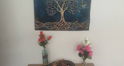 A single room is available in a spacious, well-furnished house.