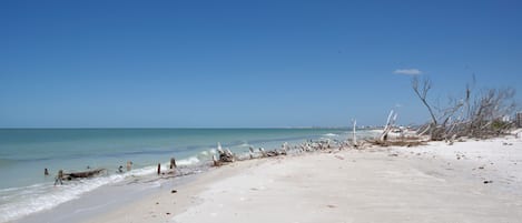 PĂ„ stranden