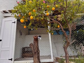 Overnattingsstedets uteområder