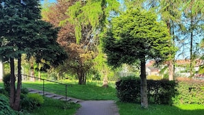 Un sendero pavimentado en un parque, con árboles y césped a ambos lados.