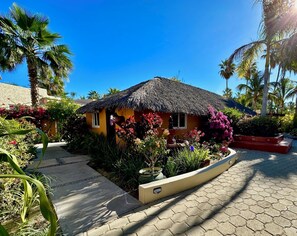 Property grounds - Casa Blandina In town, Restaurants, pickle, beach, private pool, Hot tub  (Los Barriles)