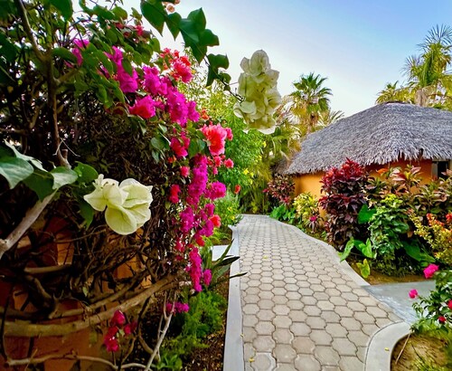 Casa Blandina In town, Restaurants, pickle, beach, private pool, Hot tub 