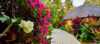 Casa Blandina In town, Restaurants, pickle, beach, private pool, Hot tub