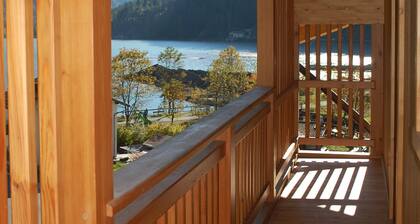 COZY AND SPACIOUS ALPINE ATTIC ROOM WITH PETS ALLOWED