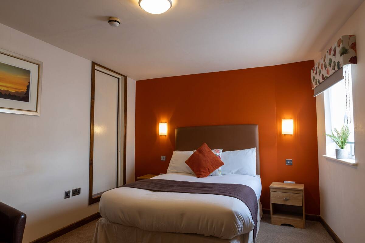 A hotel room with a large bed, two bedside tables, a nightstand, a framed picture on the wall, and a window with a plant.