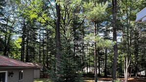 A house surrounded by a dense forest with a paved pathway leading to the entrance. - Secord Lake Private Wooded Luxury Retreat (Alger)