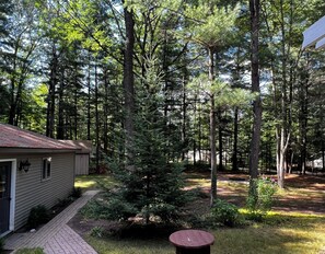 Property grounds - Secord Lake Private Wooded Luxury Retreat (Alger)