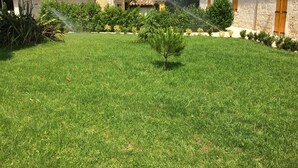 A well-maintained grassy lawn with a small tree, stone buildings with tiled roofs, and a clear sky. - Gîte des 3 Puits (Caumont)