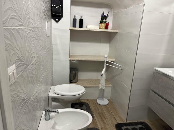 Shower, hair dryer, bidet, towels