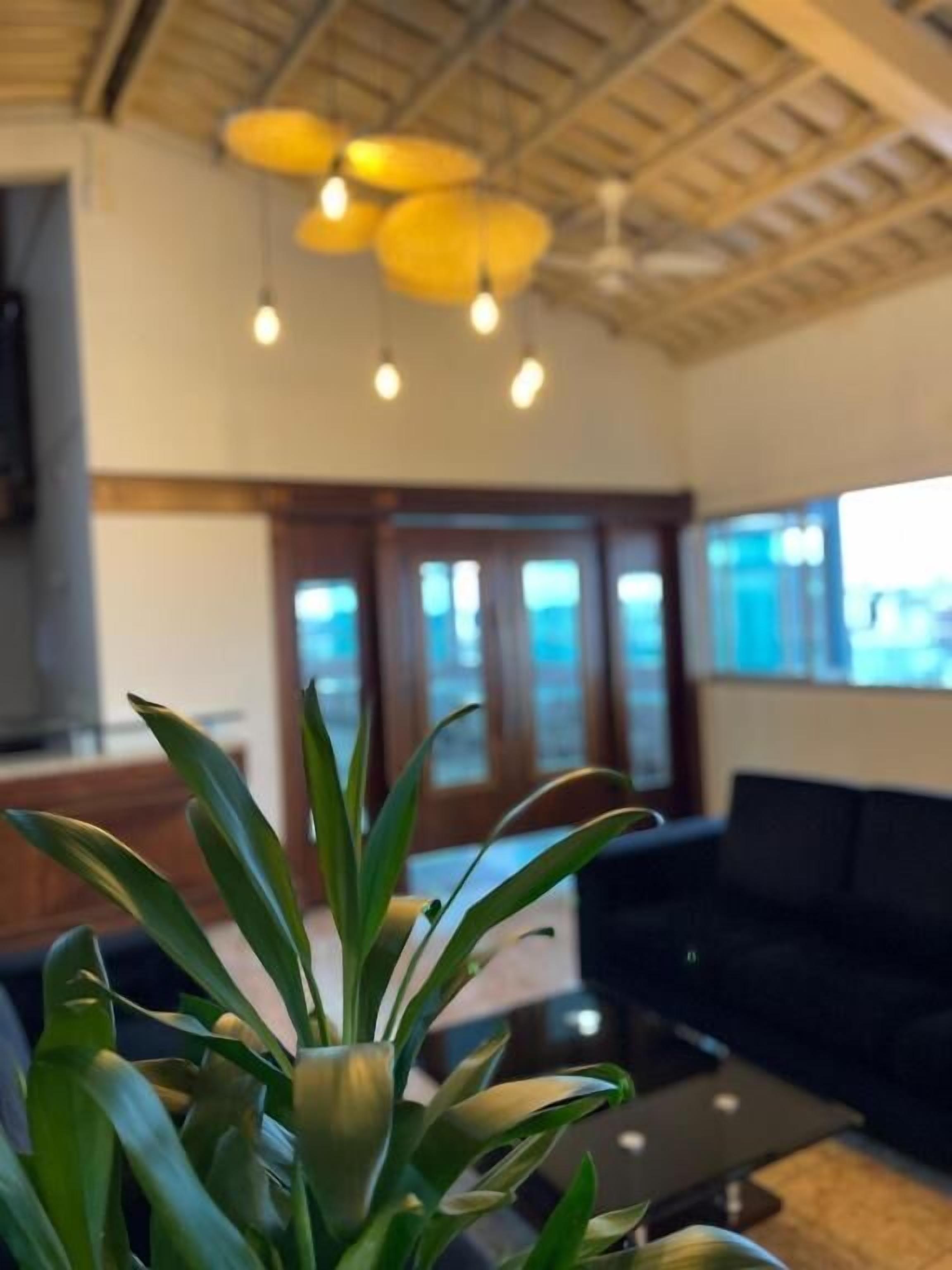 A modern living room with a black sofa, a coffee table, and a potted plant.