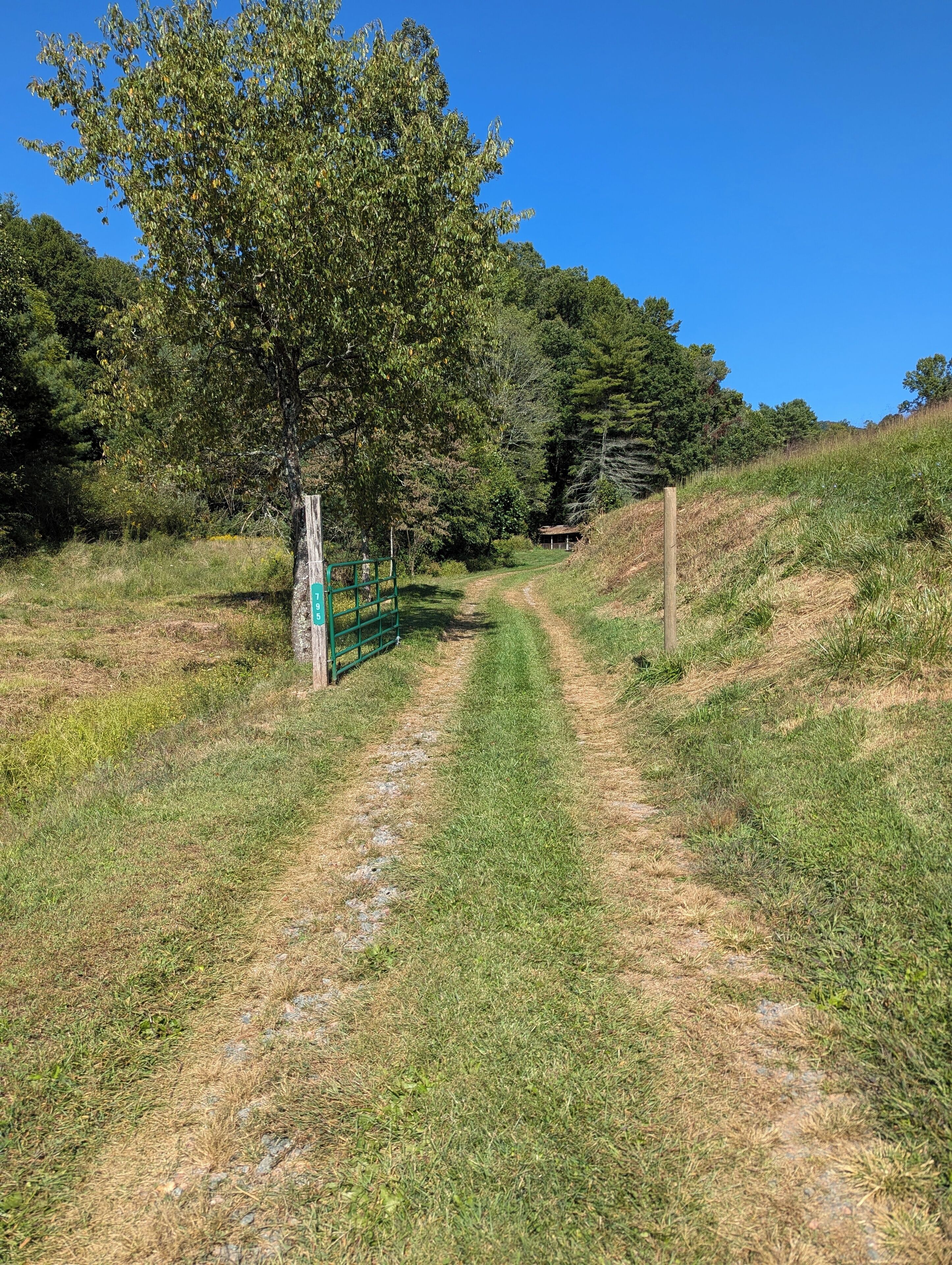 Un sentier de terre mène à une construction en bois située dans une zone boisée.