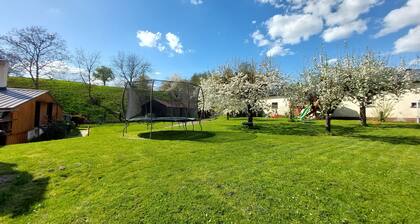 3! Neue Ferienwohnungen "Zur Hofreite " mit großer Spiel-und Liegewiese!