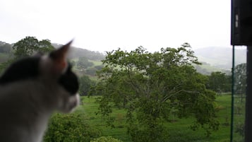Vista da propriedade