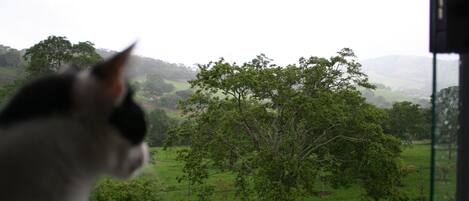 Vista desde la propiedad