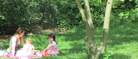 Terrain de lâhĂ©bergement