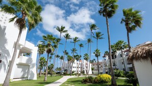 A resort with palm trees, a pathway, and white buildings.