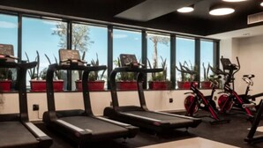 A gym with treadmills, stationary bikes, and potted plants by the windows. - Bayazid Hotel (Setif)