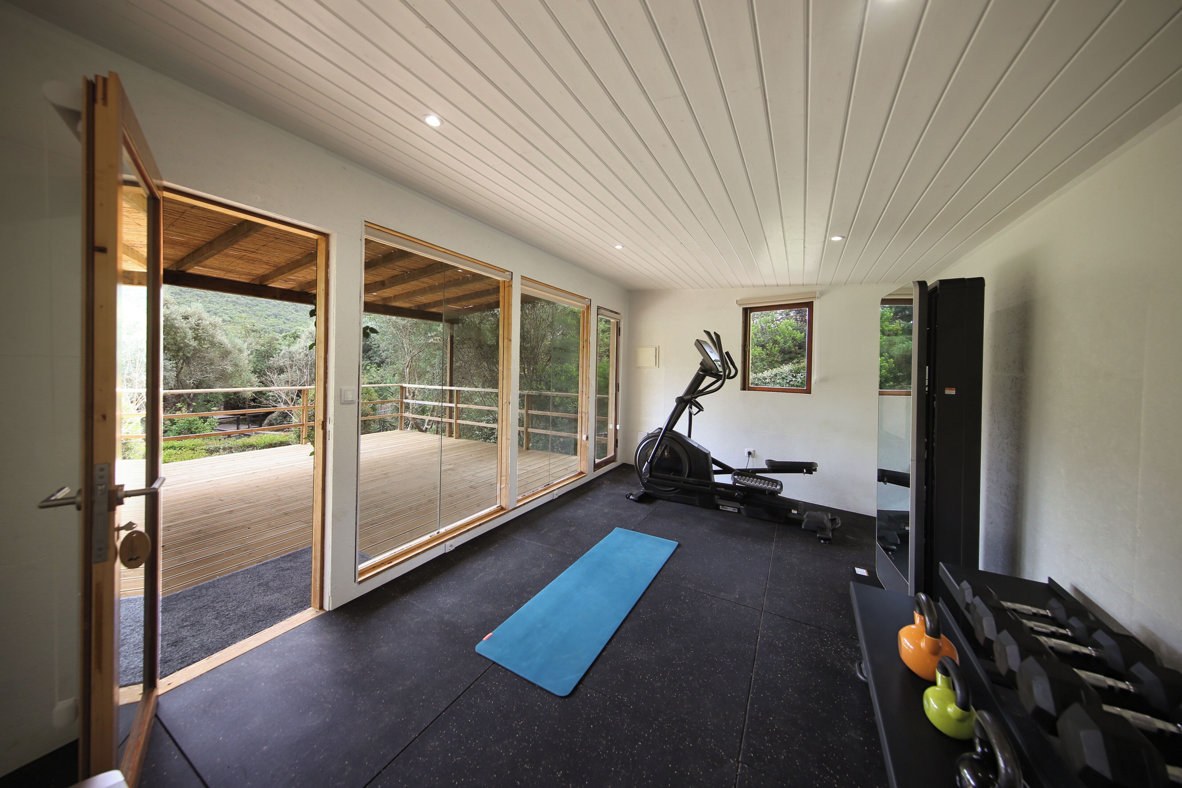 Une pièce spacieuse dotée d’une grande porte-fenêtre coulissante donnant sur une terrasse extérieure, d’un vélo d’appartement, d’un tapis de sol bleu et d’un ensemble d’haltères.
