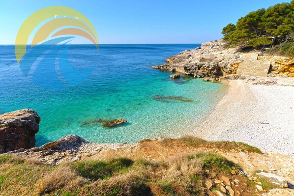 بالقرب من الشاطئ